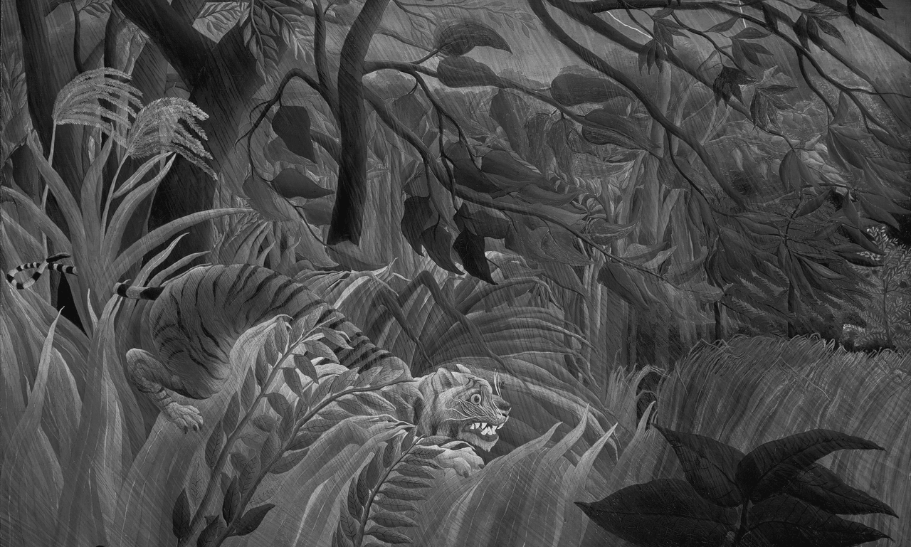 A tiger anticipating something